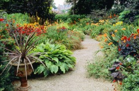 The hot garden